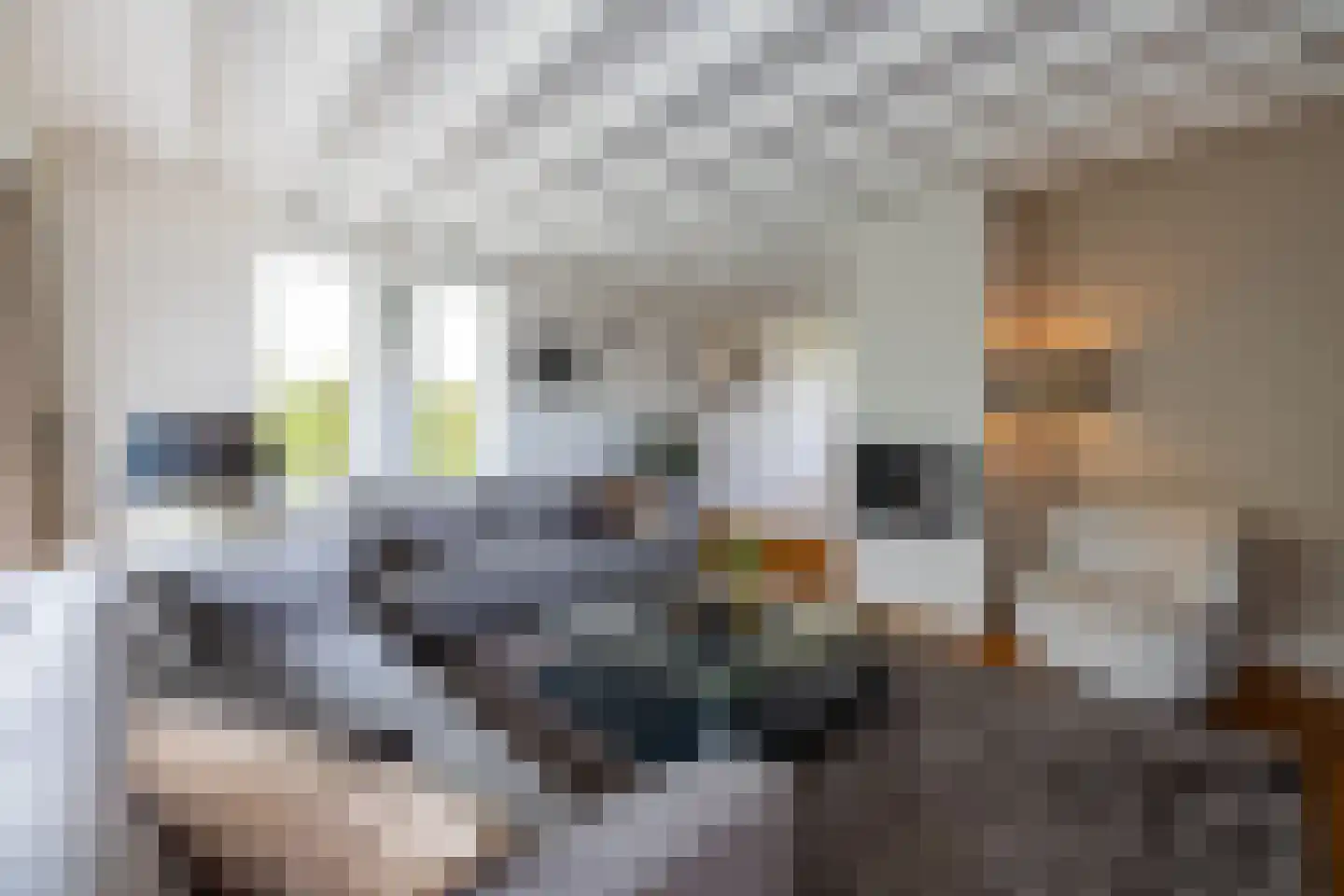 Kieftskamp 47 Doetinchem thumbnail 4