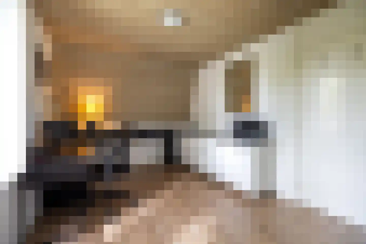Kieftskamp 47 Doetinchem thumbnail 50
