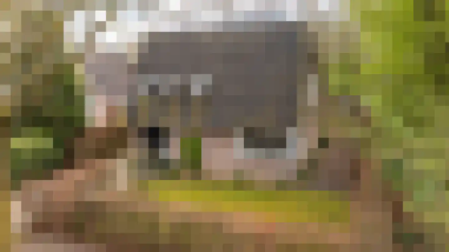 Kieftskamp 47 Doetinchem thumbnail 56