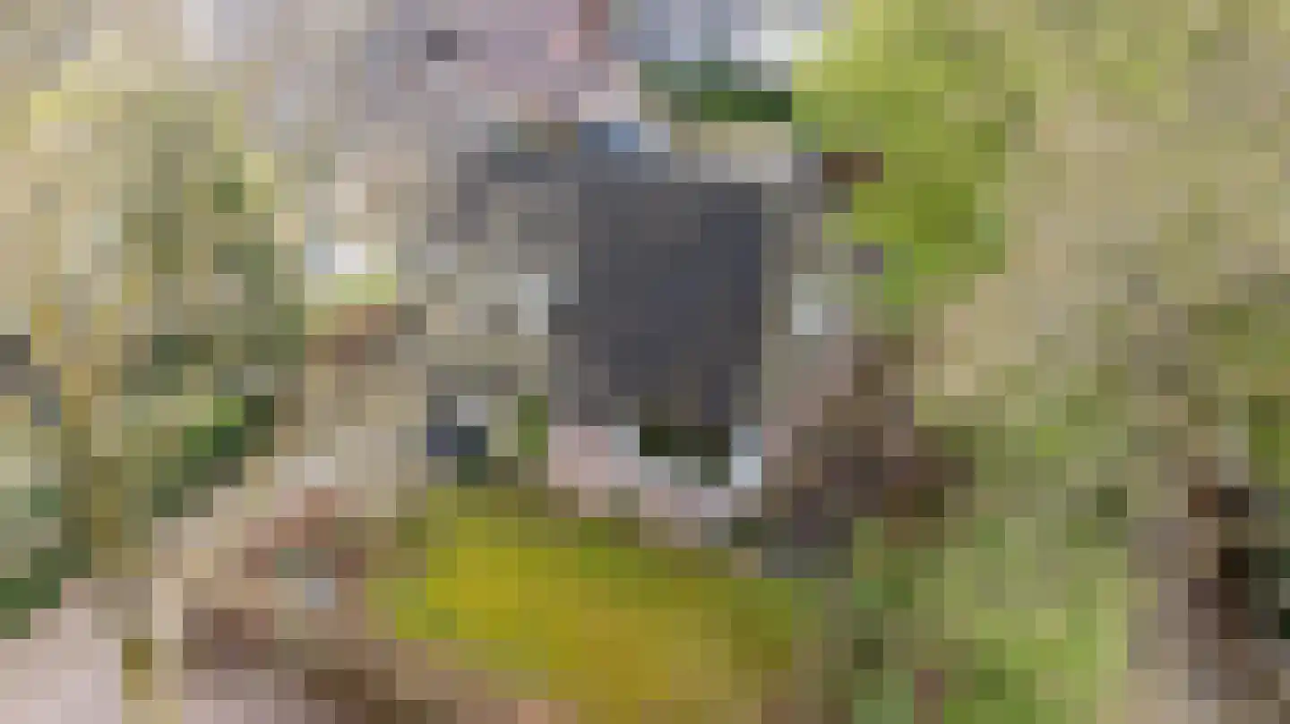 Kieftskamp 47 Doetinchem thumbnail 57