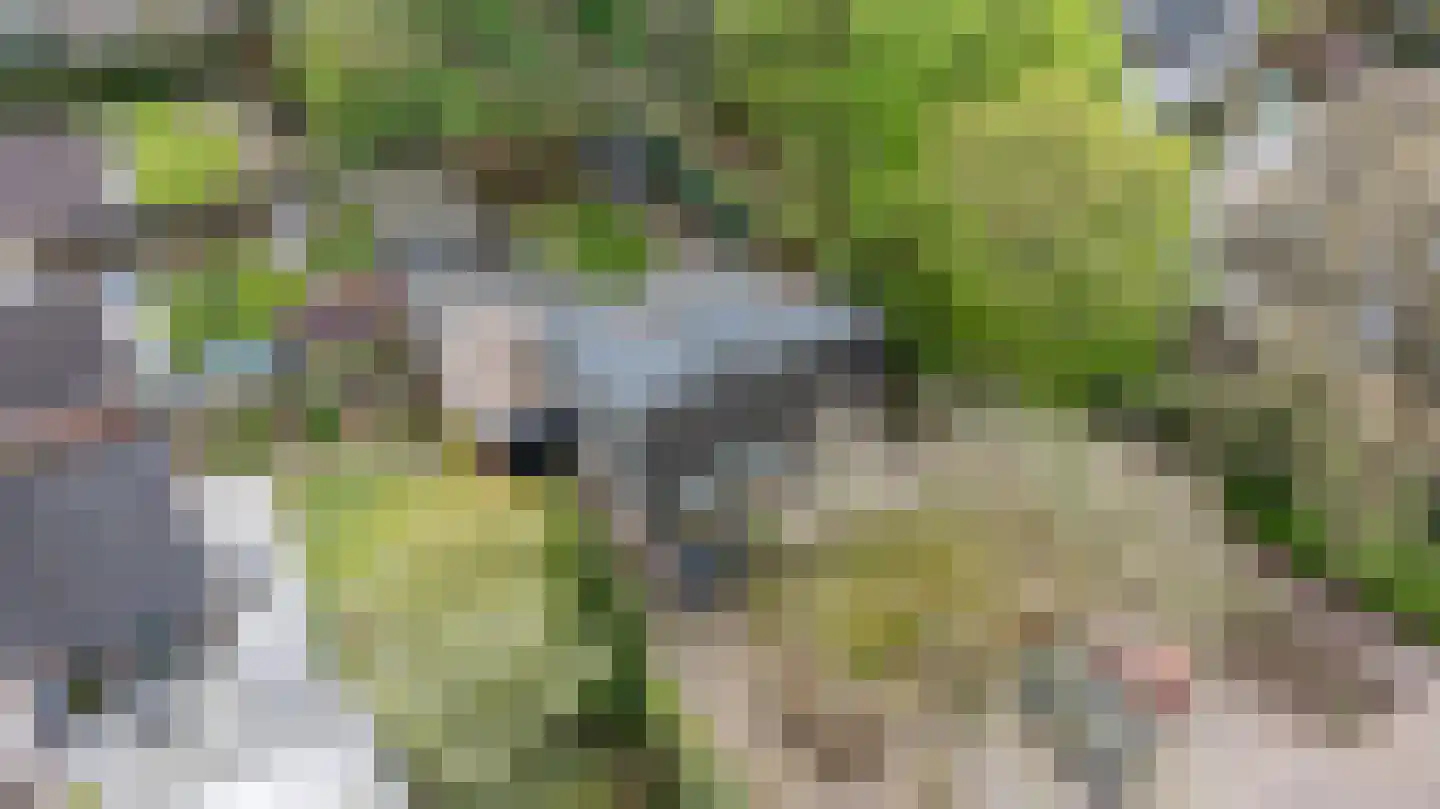Kieftskamp 47 Doetinchem thumbnail 58