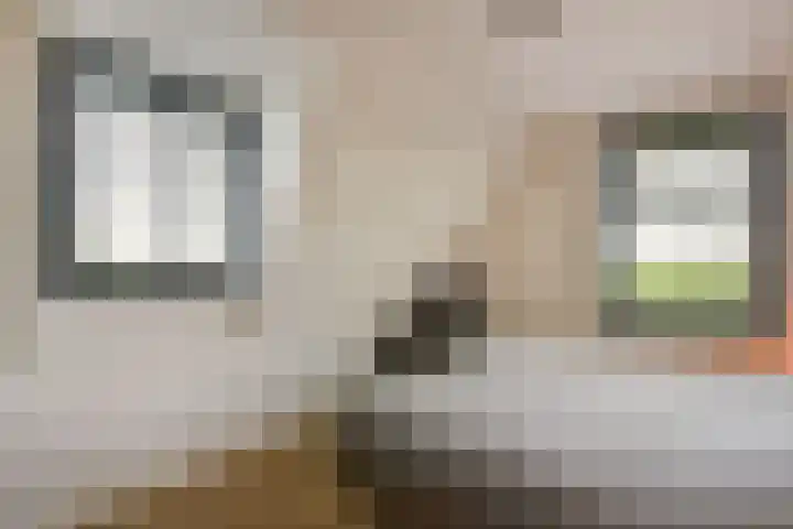 Kieftslootweid 13 Blokker thumbnail 16