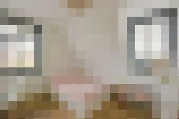 Kieftslootweid 13 Blokker thumbnail 18