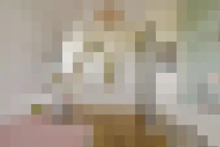 Kieftslootweid 13 Blokker thumbnail 19