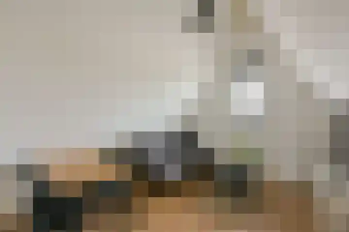 Kieftslootweid 13 Blokker thumbnail 27