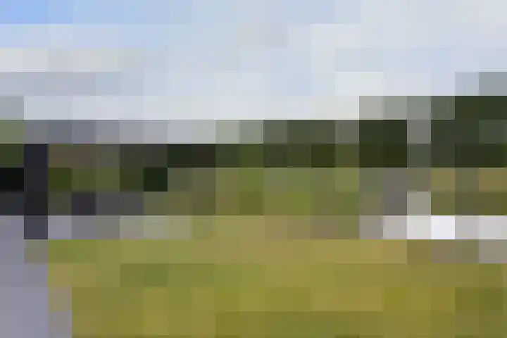 Kieftslootweid 13 Blokker thumbnail 30