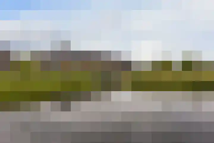 Kieftslootweid 13 Blokker thumbnail 31