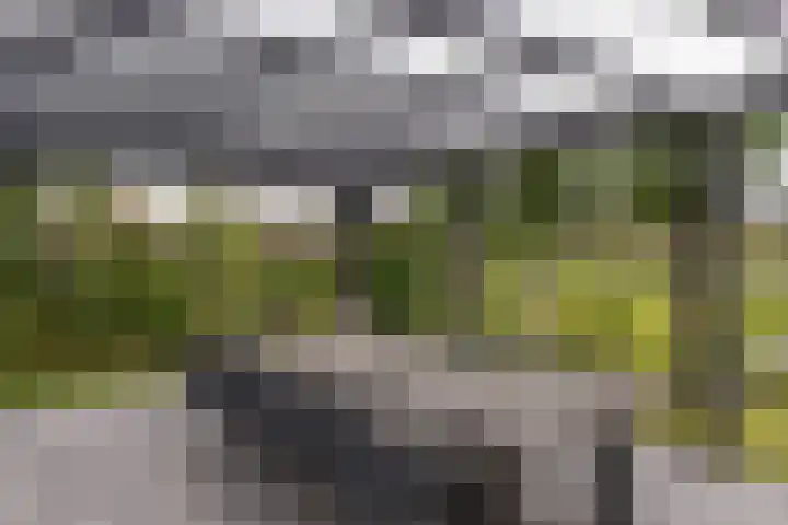 Kieftslootweid 13 Blokker thumbnail 32