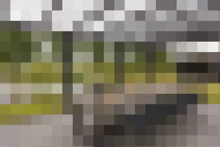Kieftslootweid 13 Blokker thumbnail 33