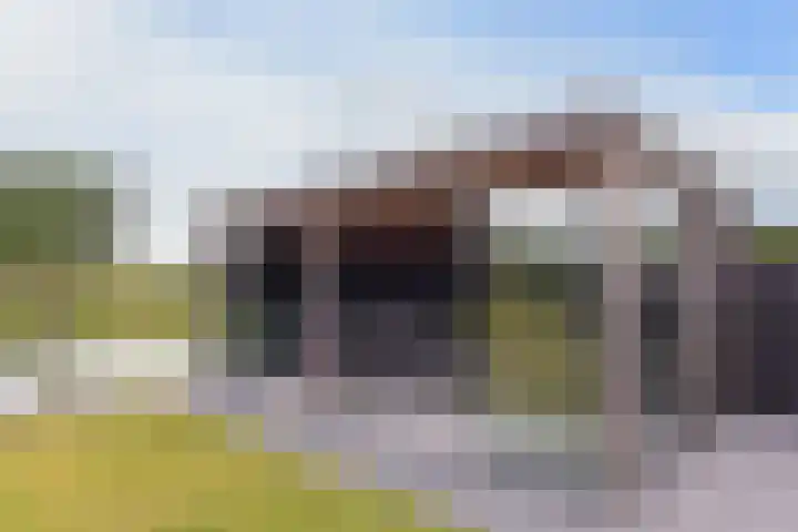 Kieftslootweid 13 Blokker thumbnail 35