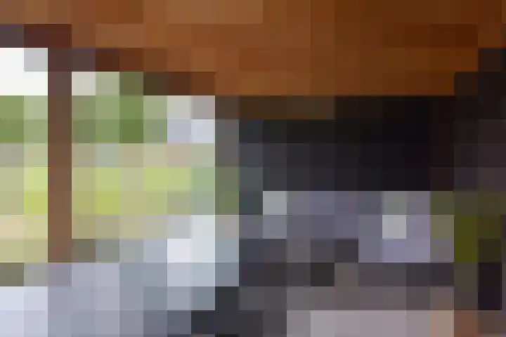 Kieftslootweid 13 Blokker thumbnail 36