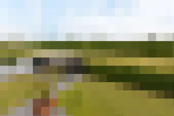 Kieftslootweid 13 Blokker thumbnail 39