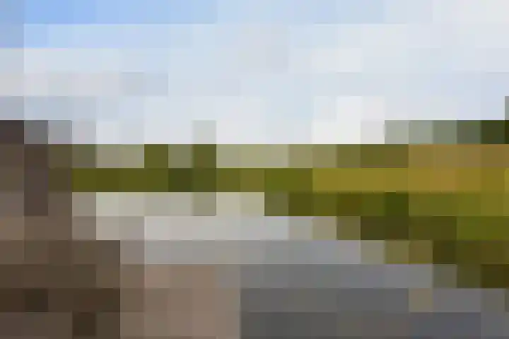 Kieftslootweid 13 Blokker thumbnail 40