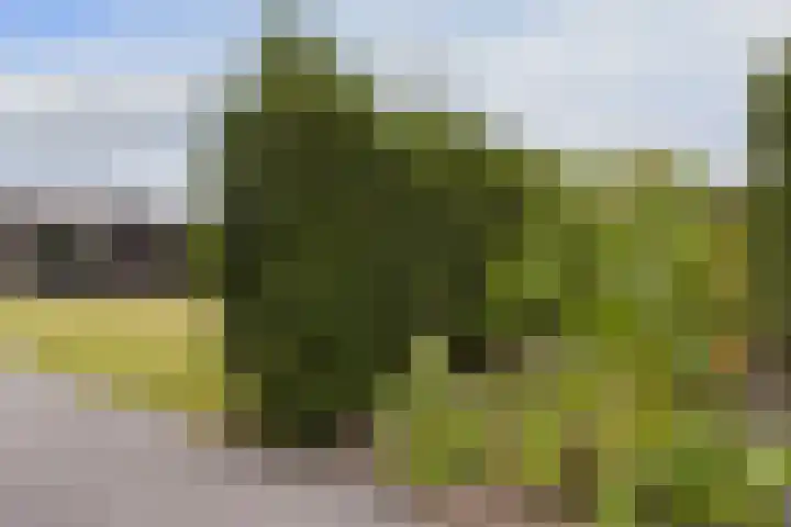 Kieftslootweid 13 Blokker thumbnail 41