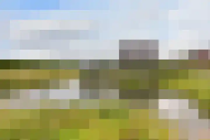 Kieftslootweid 13 Blokker thumbnail 44