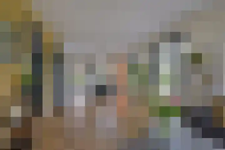 Kieftslootweid 13 Blokker thumbnail 6