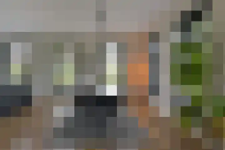 Kieftslootweid 13 Blokker thumbnail 8