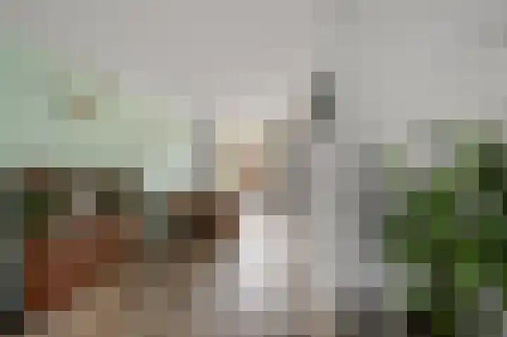 Kieftstraat 17 Koog aan de Zaan thumbnail 7