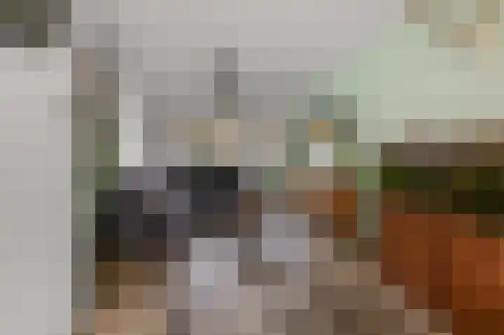 Kieftstraat 17 Koog aan de Zaan thumbnail 8