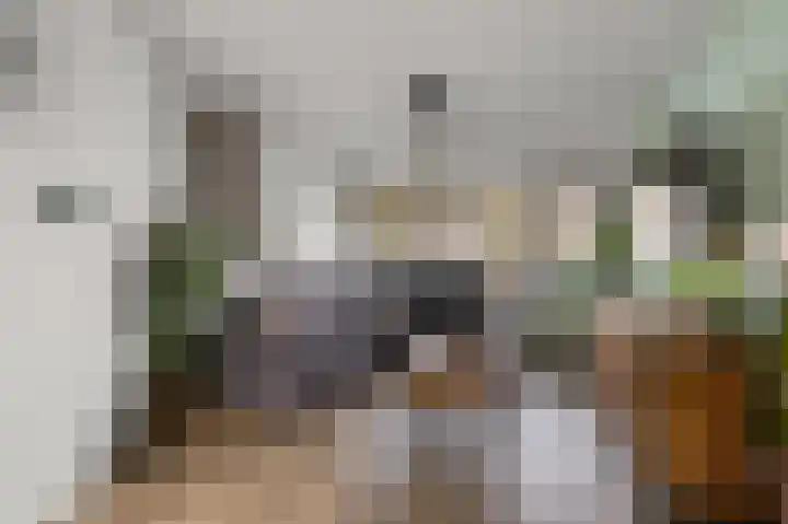 Kieftstraat 17 Koog aan de Zaan thumbnail 9