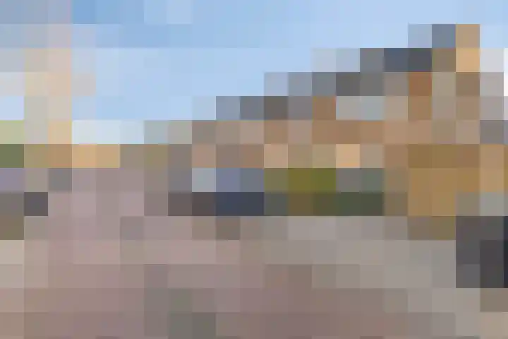Kieftstraat 39 Koog aan de Zaan thumbnail 4