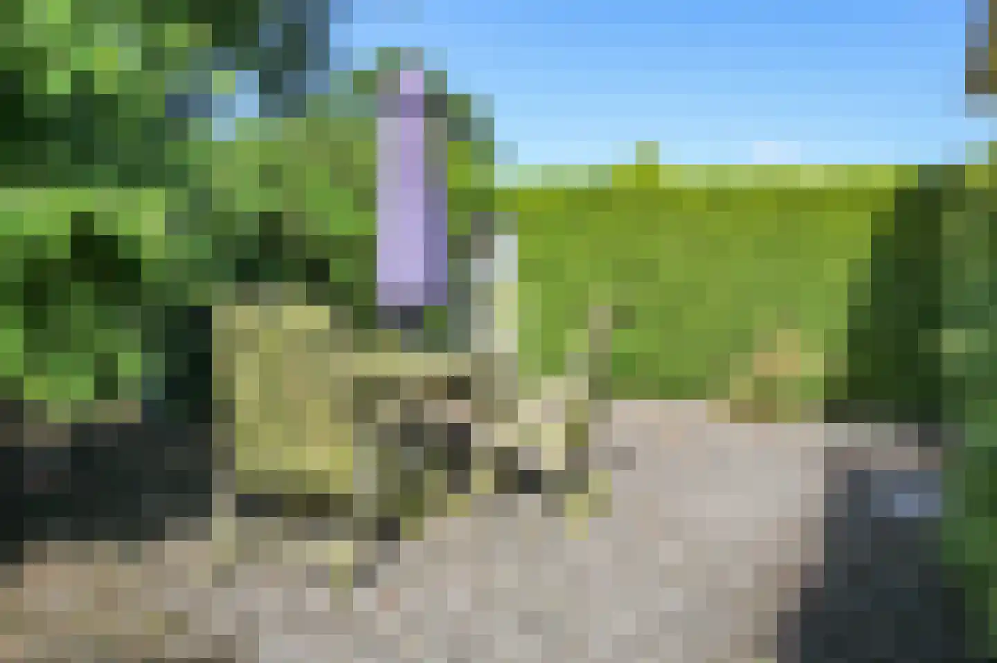 Kieftveen 13 66 Voorthuizen thumbnail 30