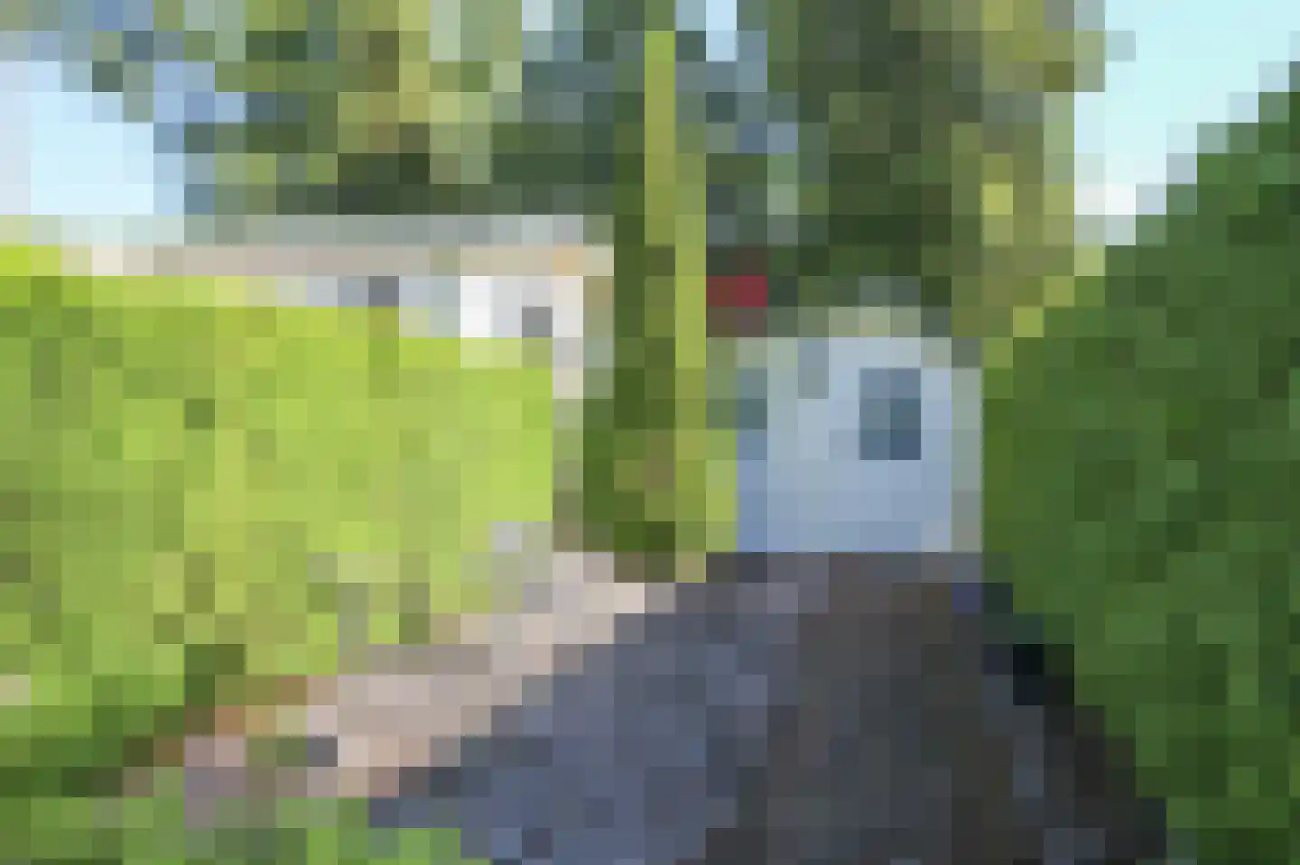 Kieftveen 13 66 Voorthuizen thumbnail 40