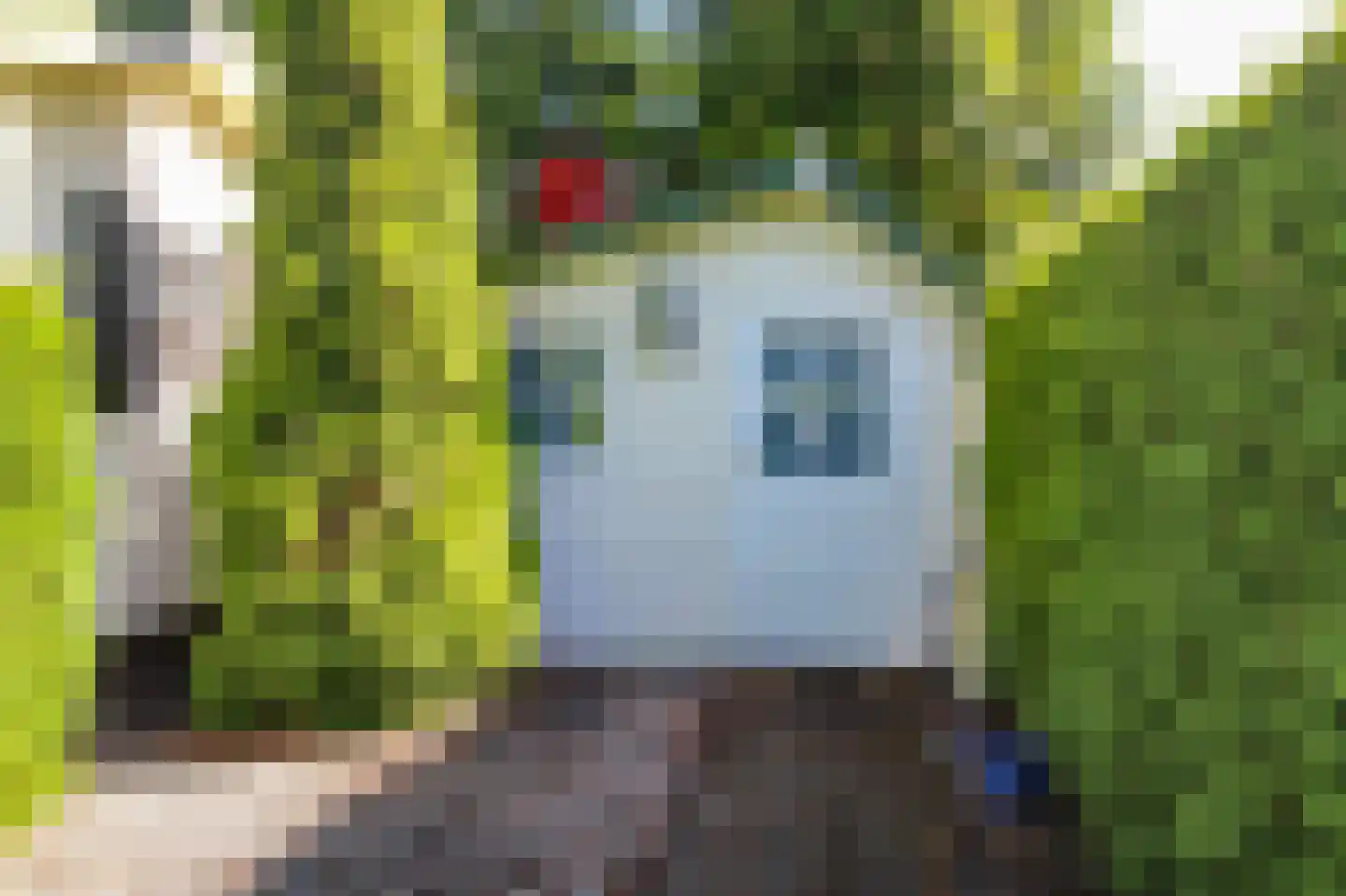 Kieftveen 13 66 Voorthuizen thumbnail 41