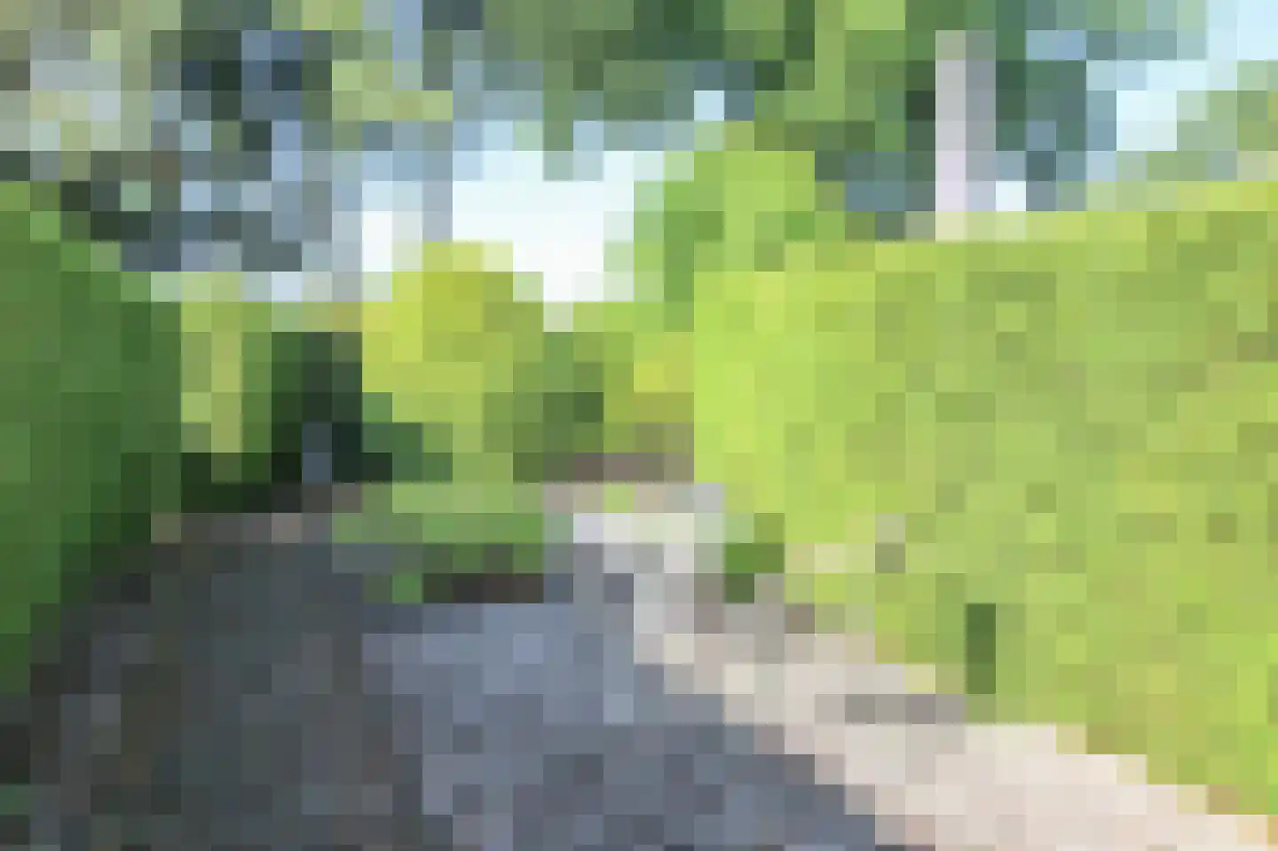 Kieftveen 13 66 Voorthuizen thumbnail 42