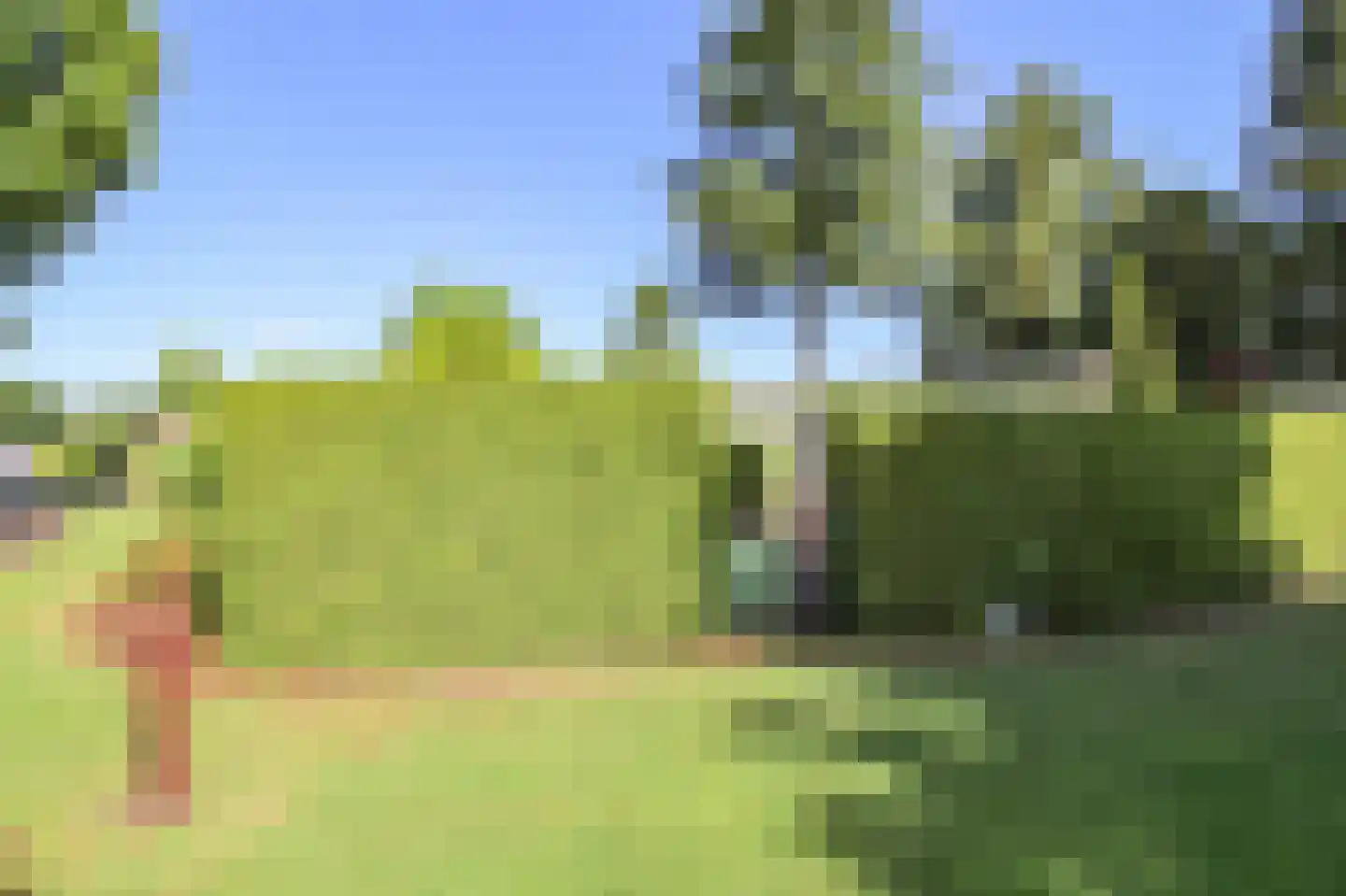 Kieftveen 13 66 Voorthuizen thumbnail 43