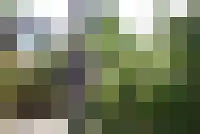 Kieftveen 18 03 Voorthuizen thumbnail 13