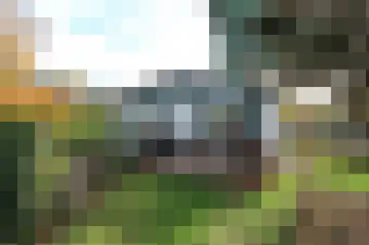 Kieftveen 18 03 Voorthuizen thumbnail 41