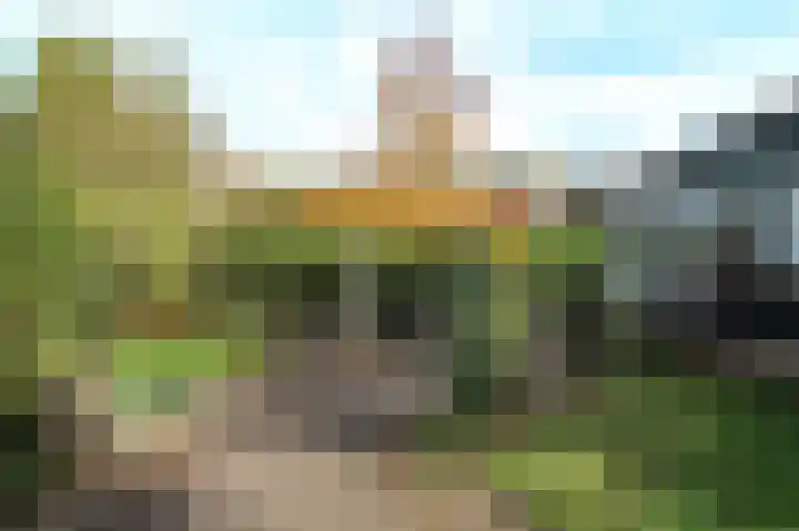 Kieftveen 18 03 Voorthuizen thumbnail 43