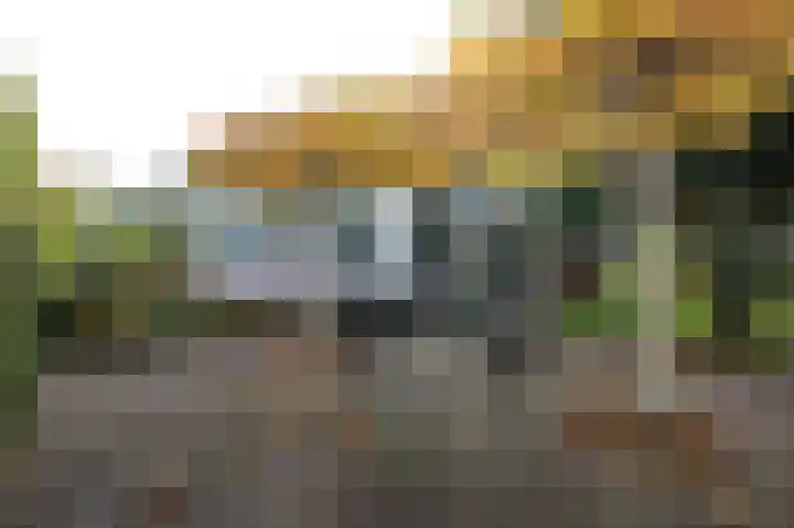 Kieftveen 18 03 Voorthuizen thumbnail 44