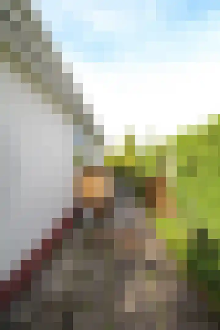 Kieftveen 18 03 Voorthuizen thumbnail 47