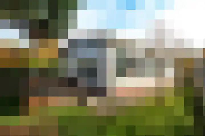 Kieftveen 18 03 Voorthuizen thumbnail 49