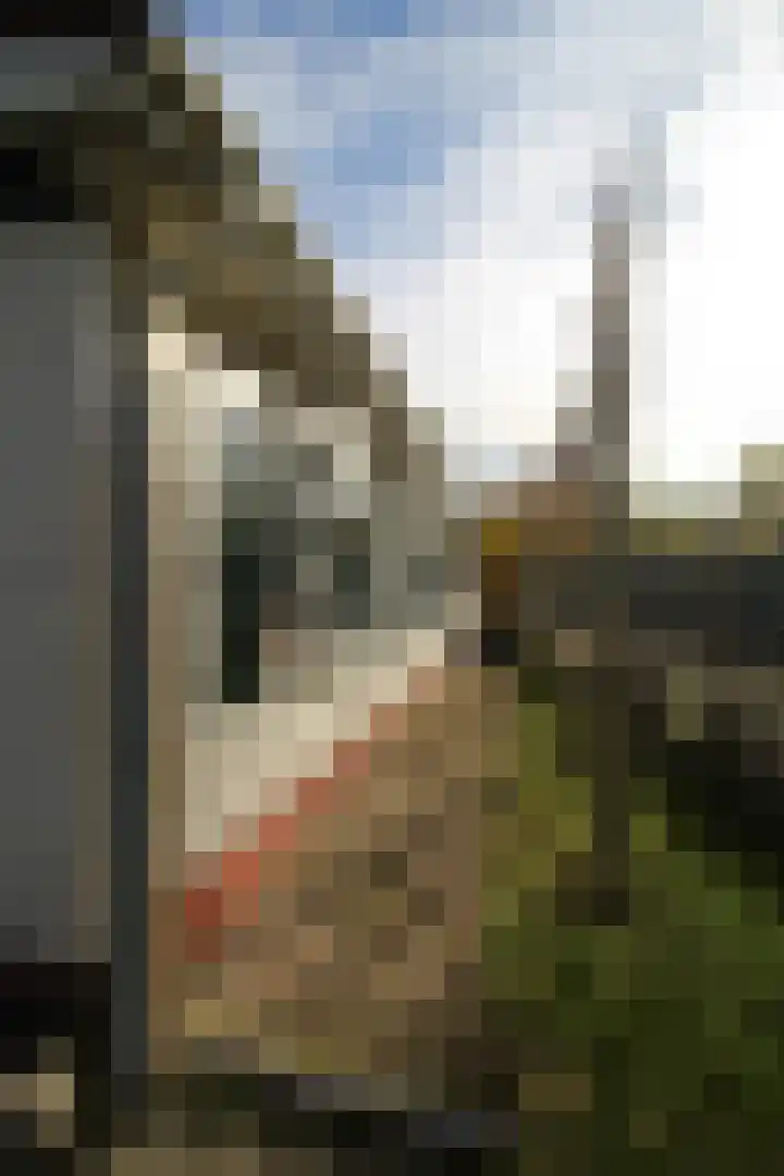 Kieftveen 18 03 Voorthuizen thumbnail 50