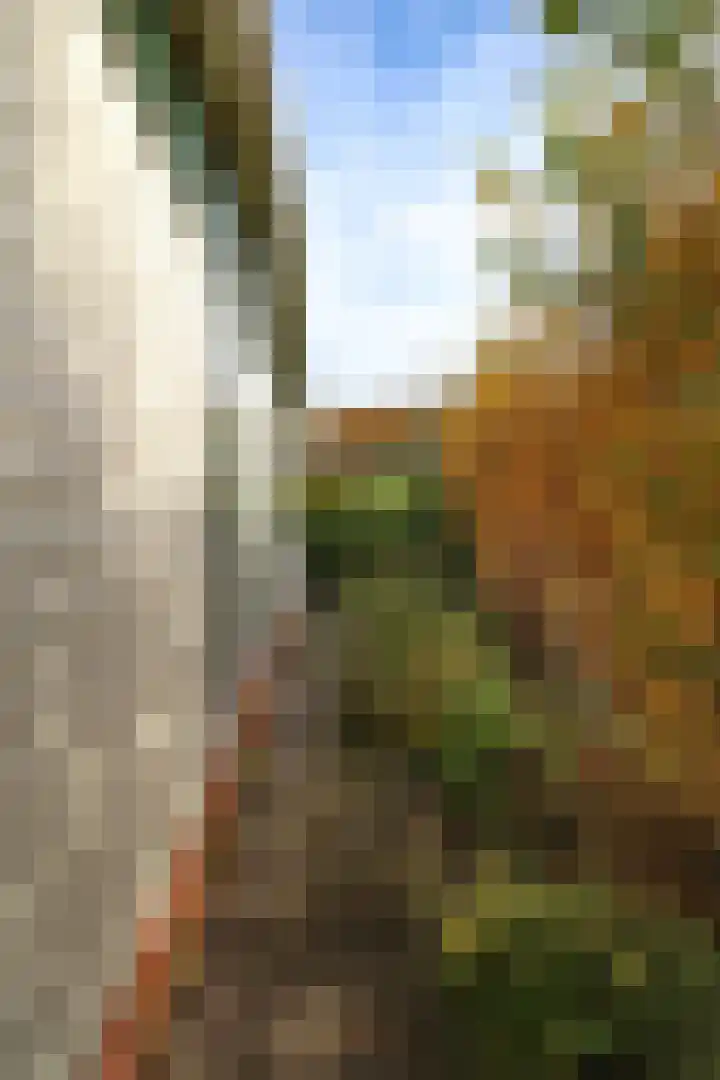 Kieftveen 18 03 Voorthuizen thumbnail 51