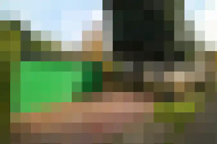 Kieftveen 18 03 Voorthuizen thumbnail 55