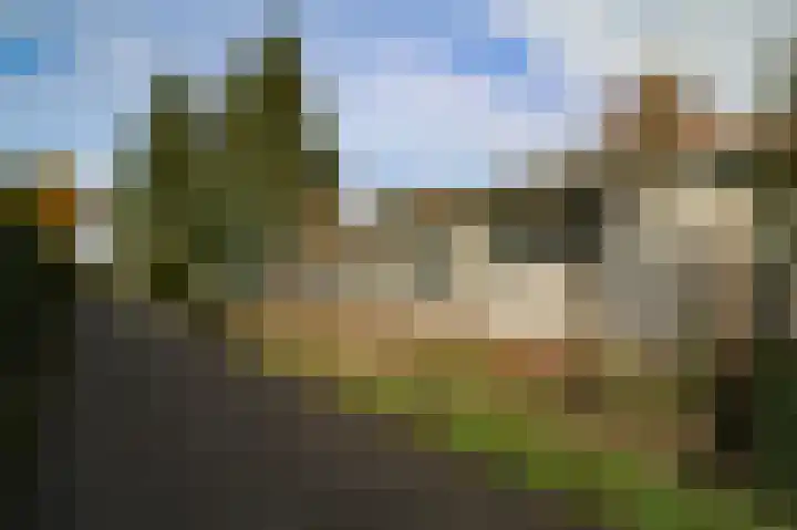 Kieftveen 18 03 Voorthuizen thumbnail 58