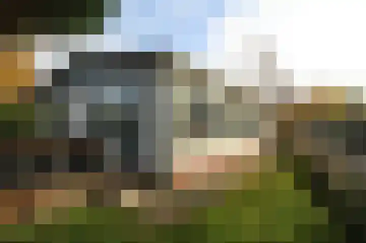 Kieftveen 18 03 Voorthuizen thumbnail 59