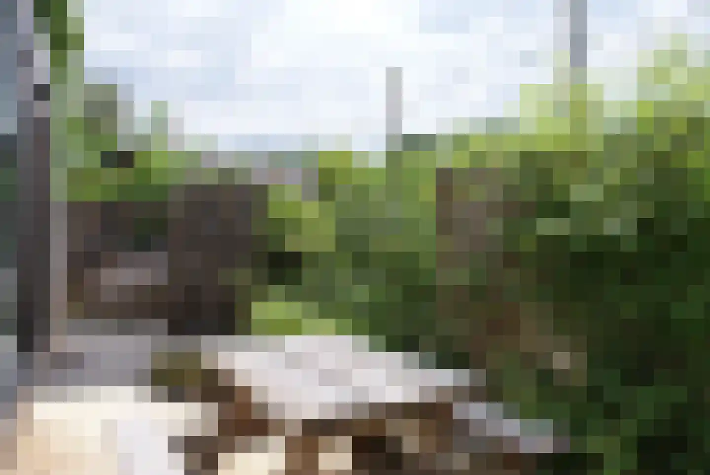 Kieftveen 18 04 Voorthuizen thumbnail 4
