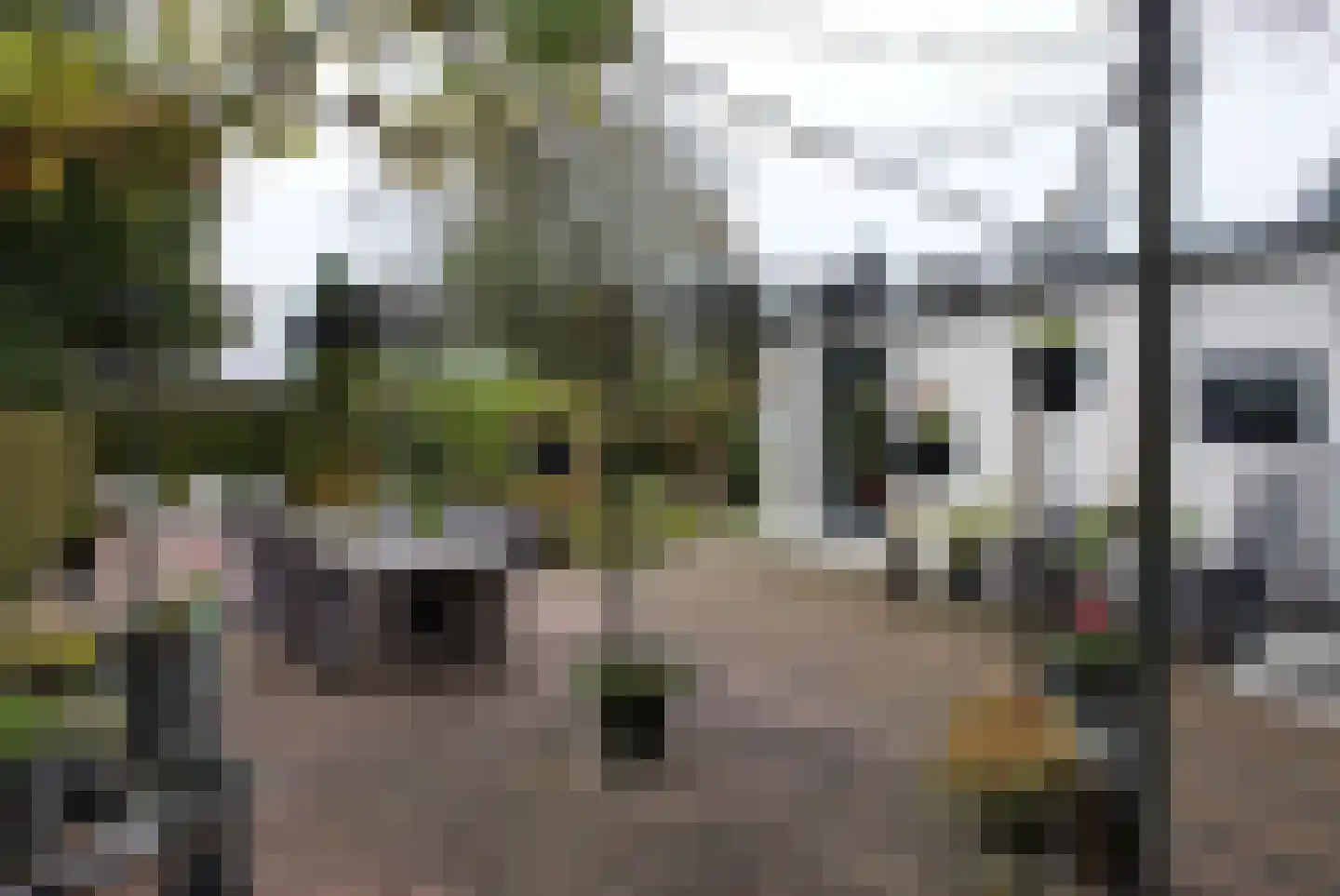 Kieftveen 18 117 Voorthuizen thumbnail 17