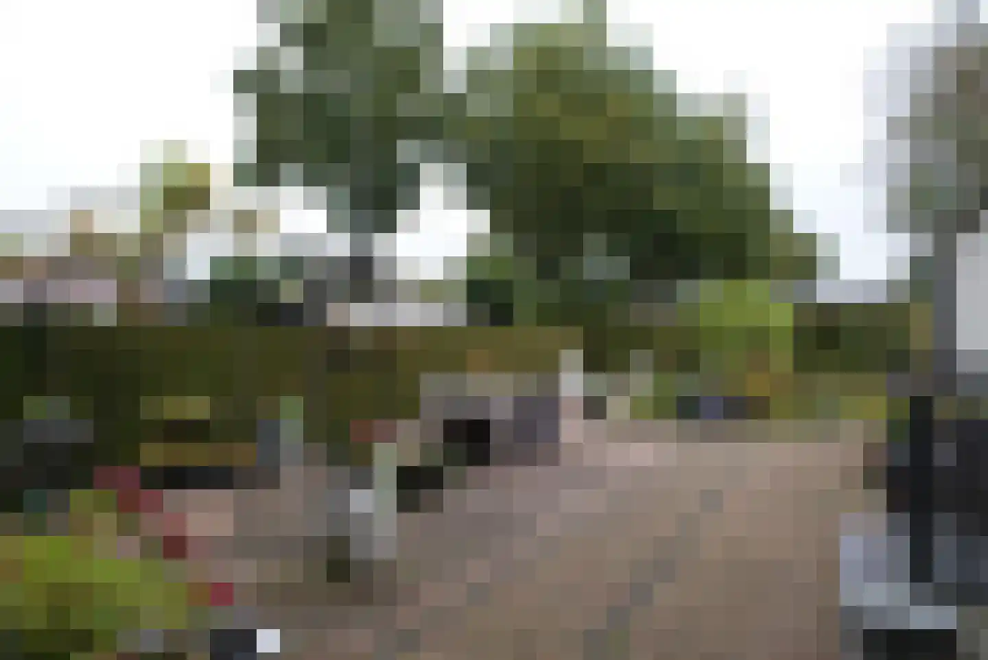 Kieftveen 18 117 Voorthuizen thumbnail 18