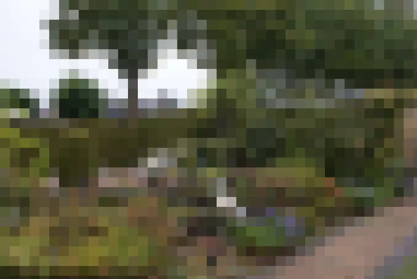 Kieftveen 18 117 Voorthuizen thumbnail 21
