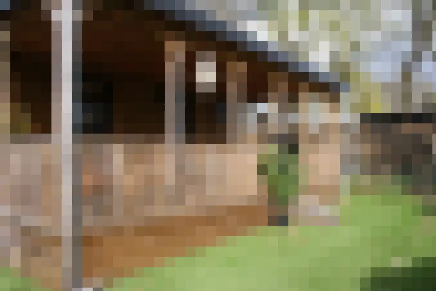 Kieftveen 18 16 Voorthuizen thumbnail 17