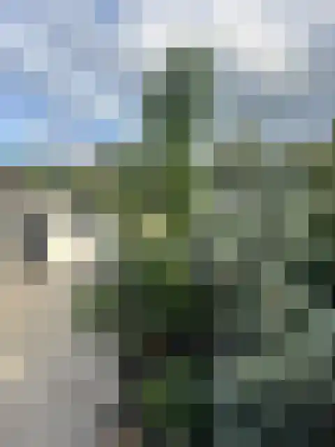 Kieftveen 18 188 Voorthuizen thumbnail 31