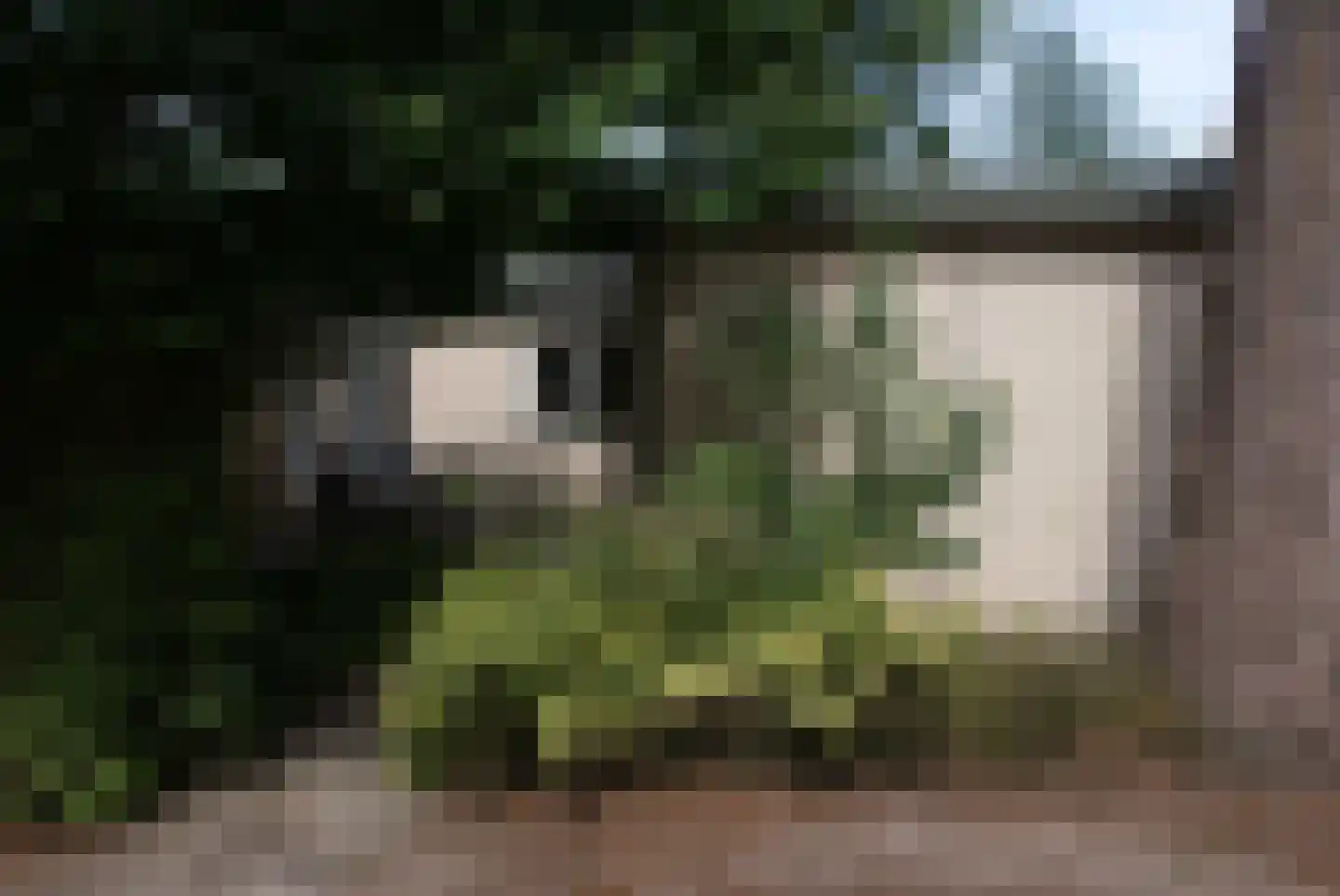 Kieftveen 18 312 Voorthuizen thumbnail 6