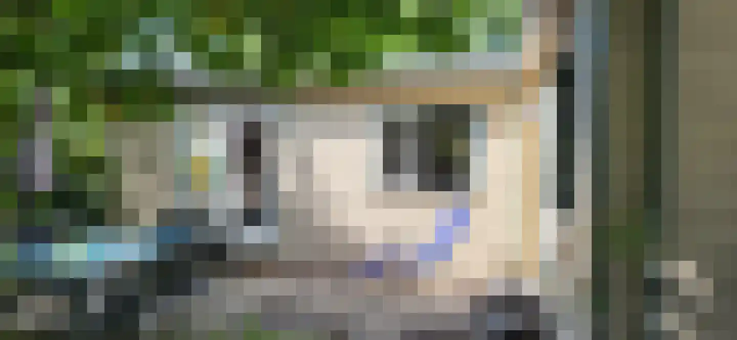 Kieftveen 18 312 Voorthuizen thumbnail 8