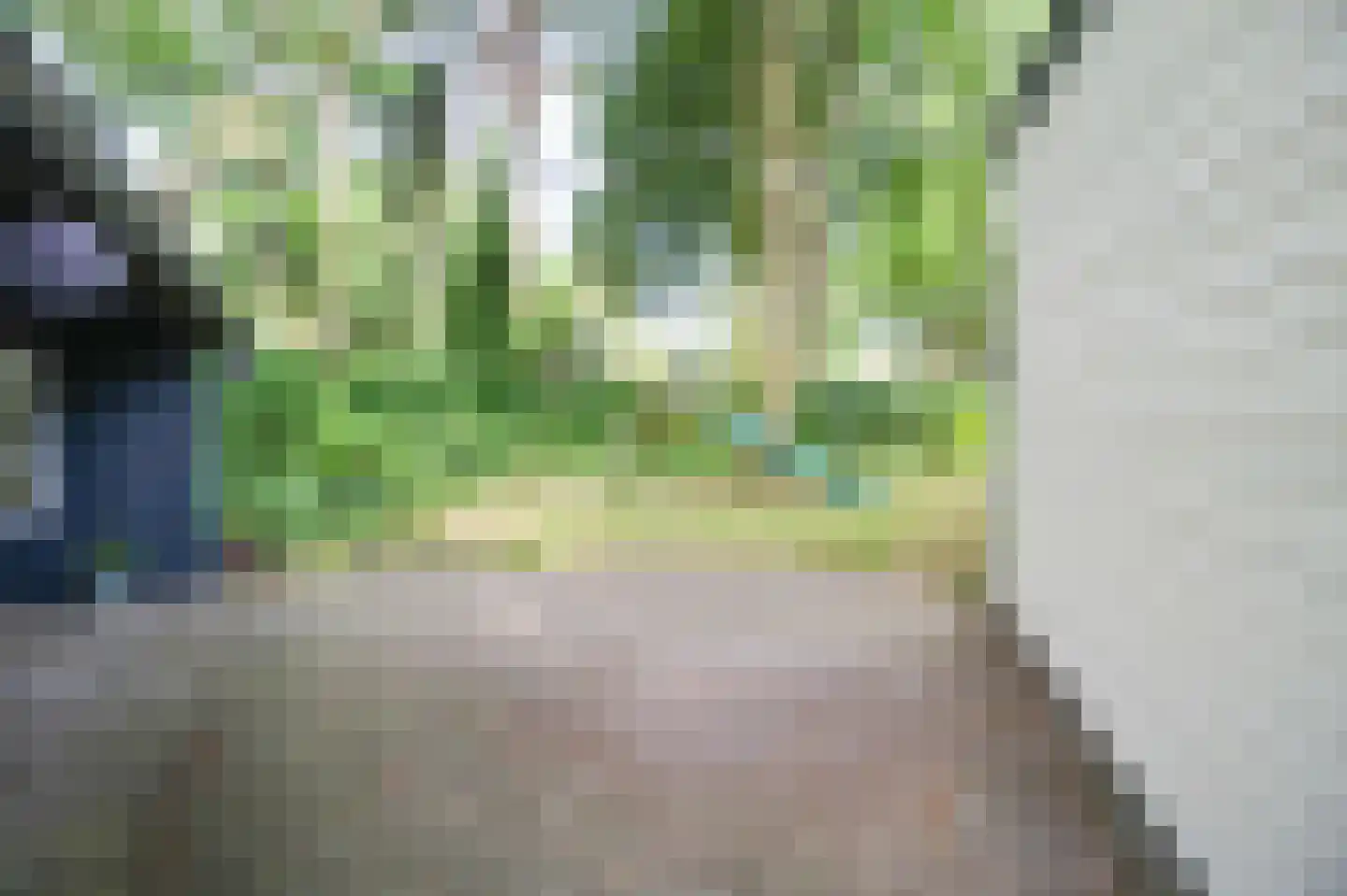 Kieftveen 18 335 Voorthuizen thumbnail 27